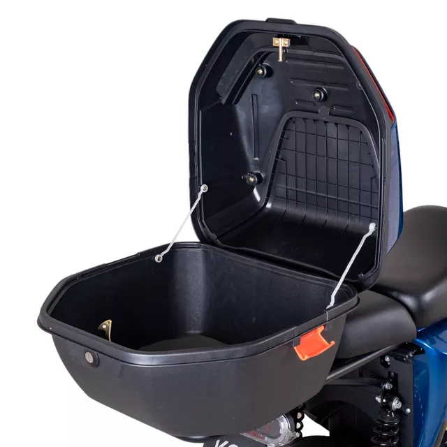 Electric Scooter W-TEC Raike 10” - Black-Silver