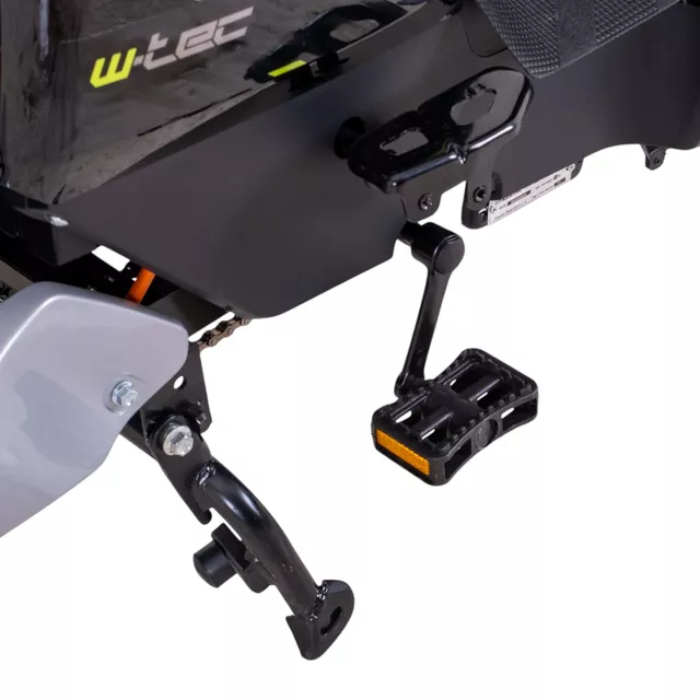 Electric Scooter W-TEC Raike 10” - Black-Silver