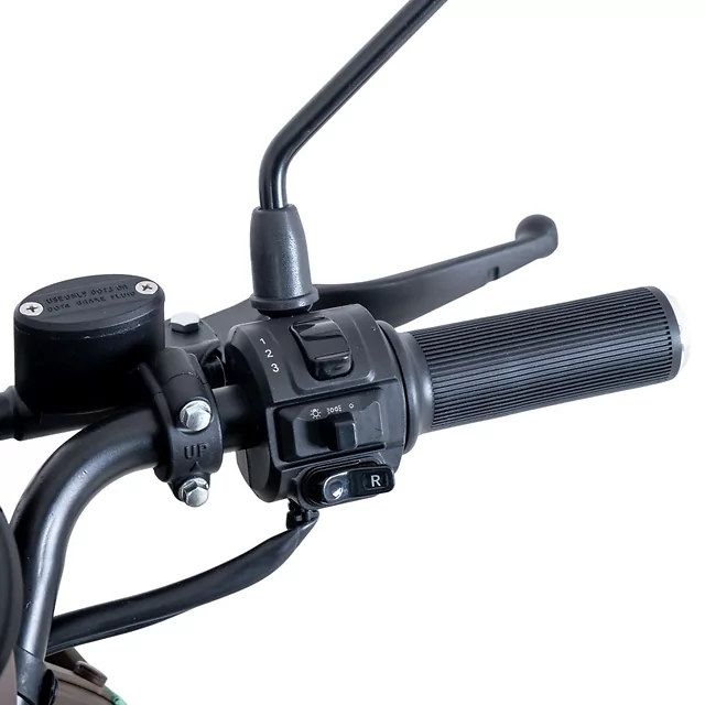 Electric Four-Wheel Scooter inSPORTline Lubica II - Grey