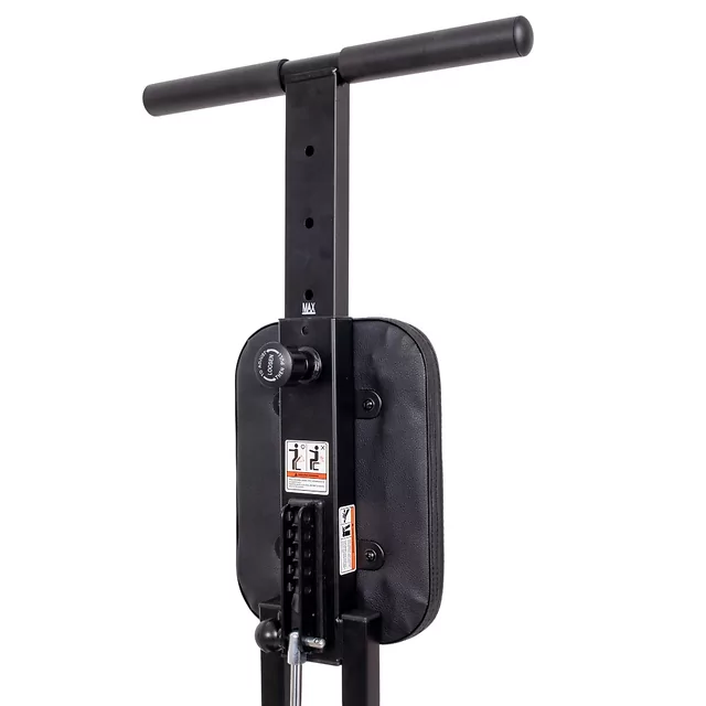 Stepper inSPORTline Astario