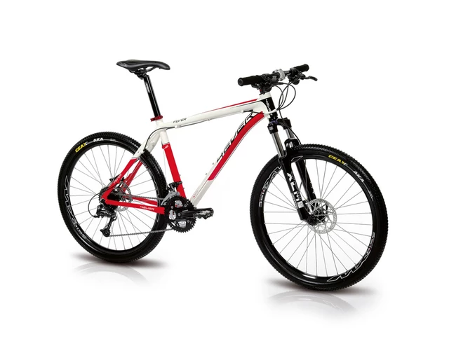 Mountain bike 4EVER FEVER Disc 2011 - Red