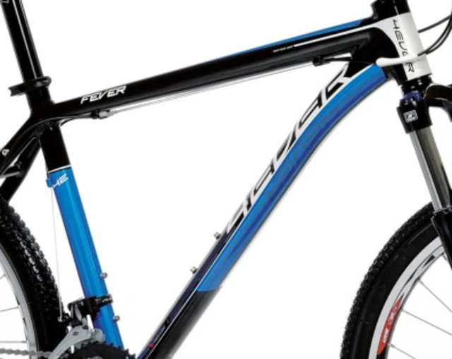 Mountain bike 4EVER FEVER Disc 2011 - Blue