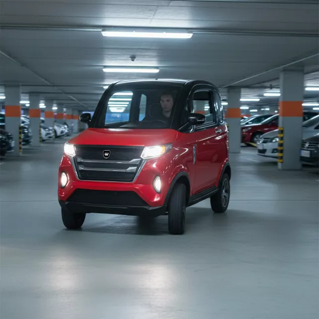 Electric Four-Wheeler W-TEC Tuligo - Grey