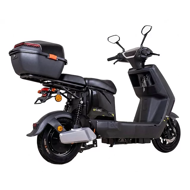 Electric Scooter W-TEC Raike II 10” - Black-Silver