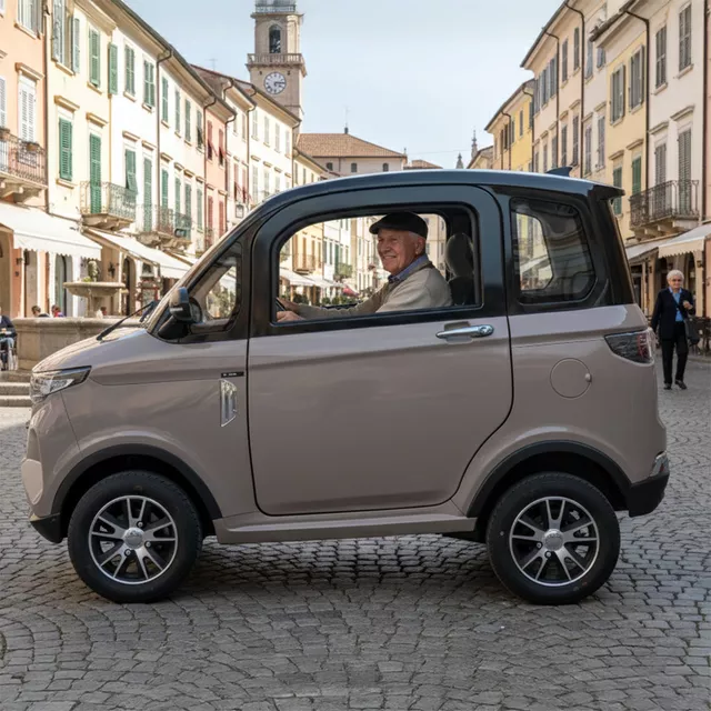 Electric Four-Wheeler W-TEC Tuligo - Grey