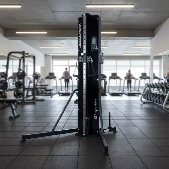 Power Rack inSPORTline Vektor