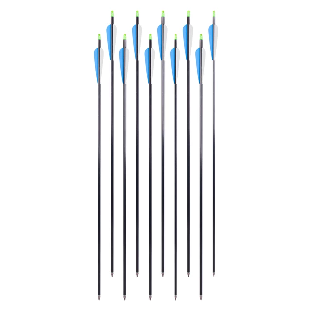 Aluminum Arrows w/ Screw-In Tips inSPORTline Aluson 30” – 10 Pcs.