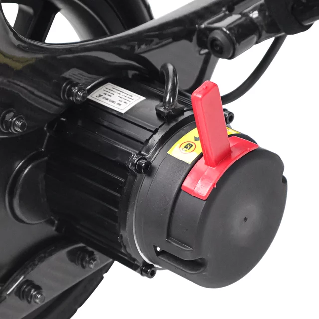 Carbon Electric Wheelchair inSPORTline Feally