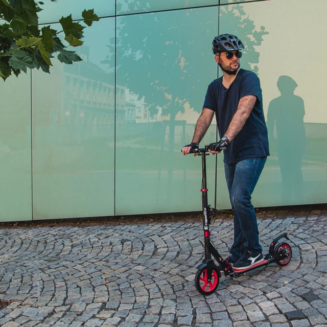 Folding Scooter inSPORTline Discola