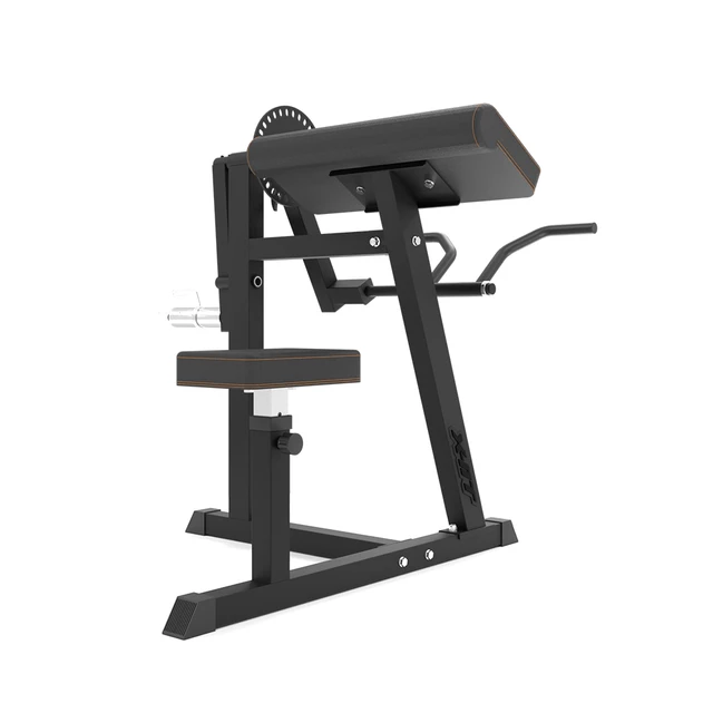 Bicep & Tricep Curl Bench inSPORTline X-NT BT20