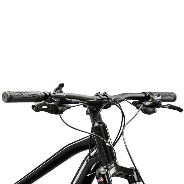 Mountain Bike Kross Hexagon 5.0 29” Gen 008 - stříbrná / černá / lesk
