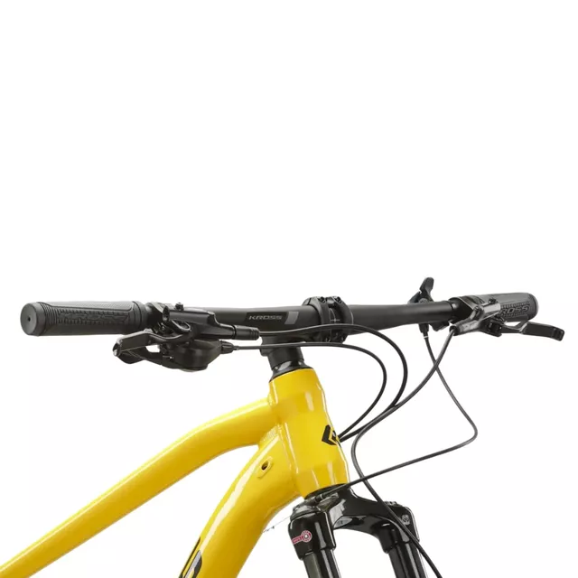 Mountain Bike Kross Level 4.0 29” Gen 007 - šedá / červená / lesk
