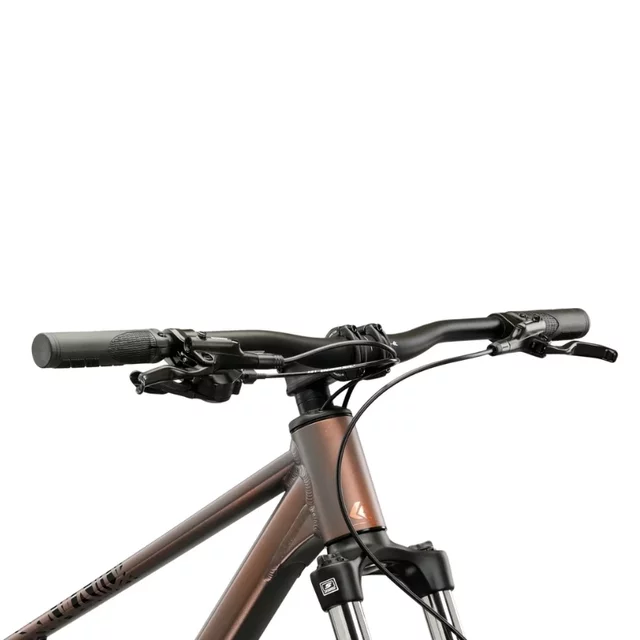 Mountain Bike Kross Level X100 29” – 2026 - šedá / hnědá / matný