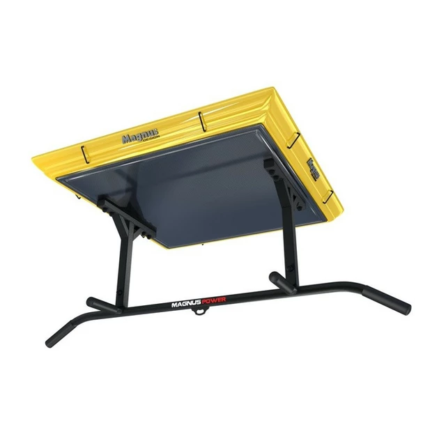 Ceiling-Mounted Pull-Up Bar w/ 4 Grips MAGNUS POWER MP1023