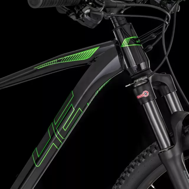 Mountain Bike 4EVER FRONTBEE 29” – 2025 - pearl black/green