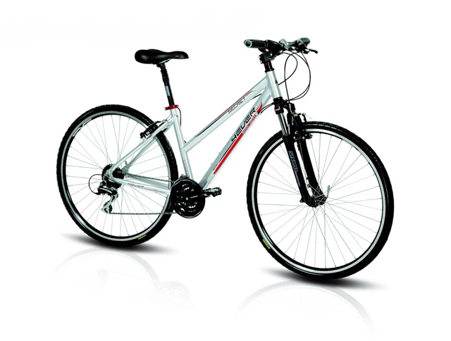Lady's cross bike 4EVER SECRET V-Brake 2011 - Grey