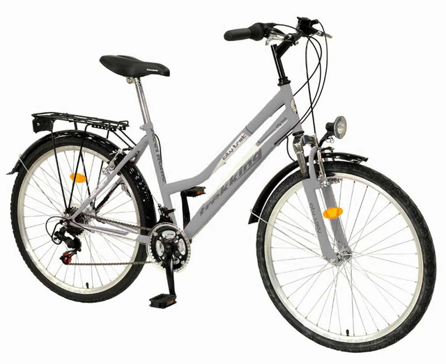 Lady´s bike DHS Treking 2632 - model 2011