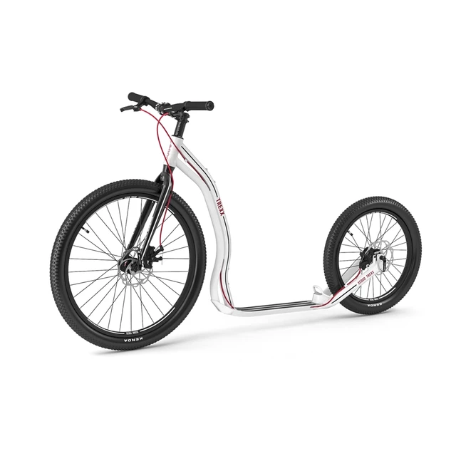 Kick Scooter Yedoo Trexx Disc 26/20” - Green