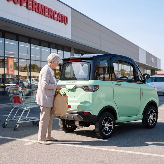 Electric Four-Wheeler W-TEC Tuligo - Grey