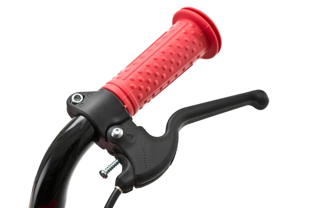 Ducati kid's bike DT14 14" 2013