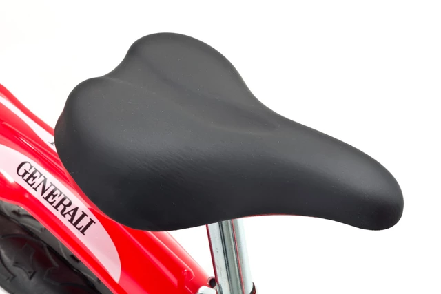Ducati kid's bike DT12 12" 2013