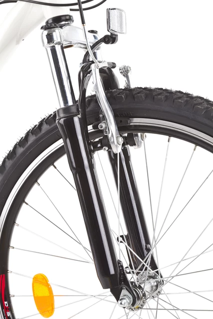 Full-suspended bike DHS 2445 Matrix 24" - model 2012