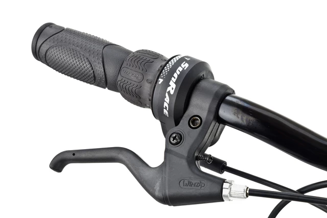 Junior bike DHS 2414 Cityline 24"