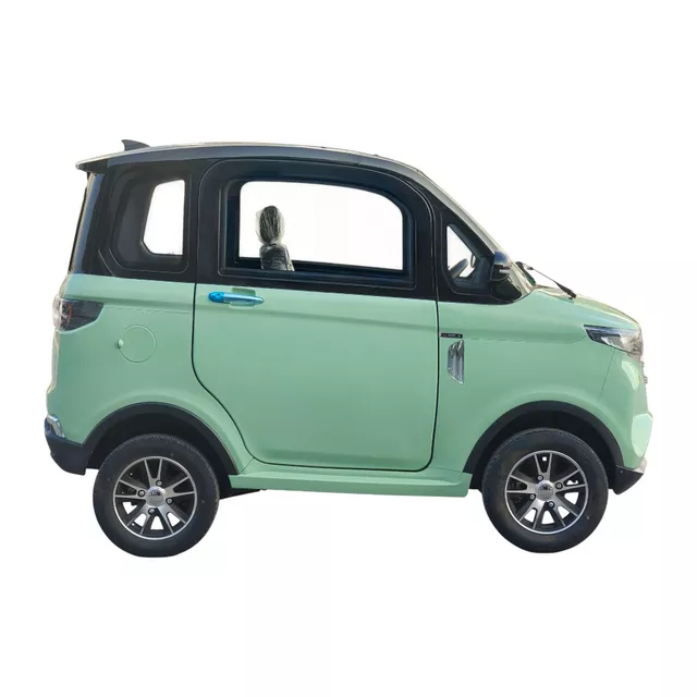 Electric Four-Wheeler W-TEC Tuligo - Grey