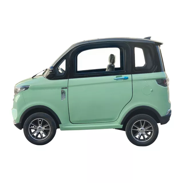 Electric Four-Wheeler W-TEC Tuligo - Grey