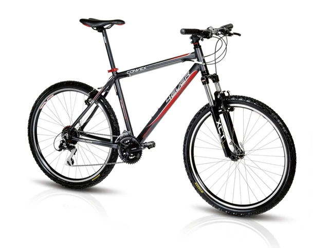 Mountain bike 4EVER CONVEX V-Brake 2011 - Grey