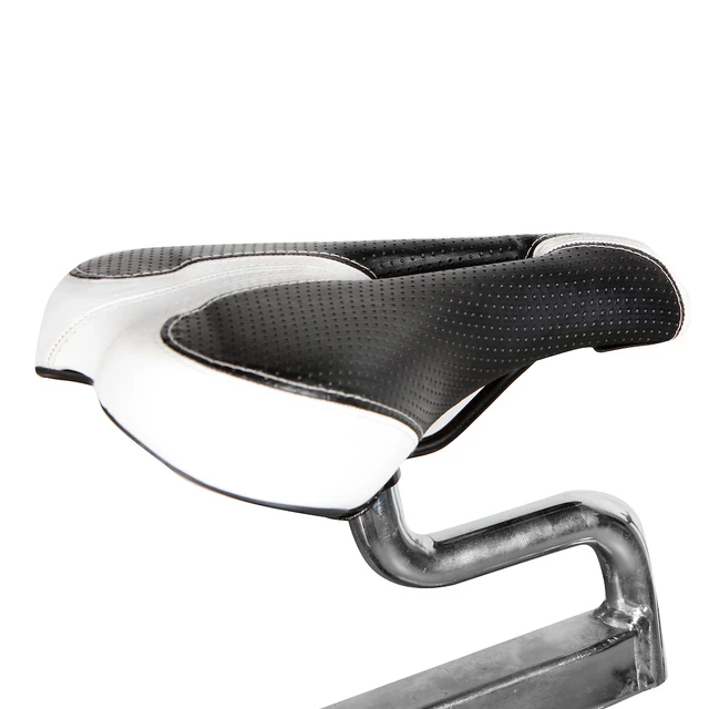 Indoor cycling Bike inSPORTline EVOTRON