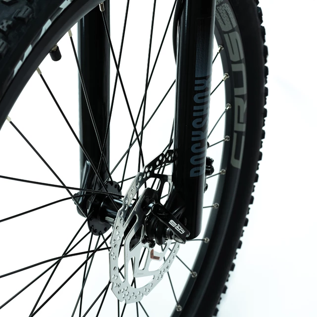 Mountain E-Bike Crussis e-Atland 9.9-M – 2024
