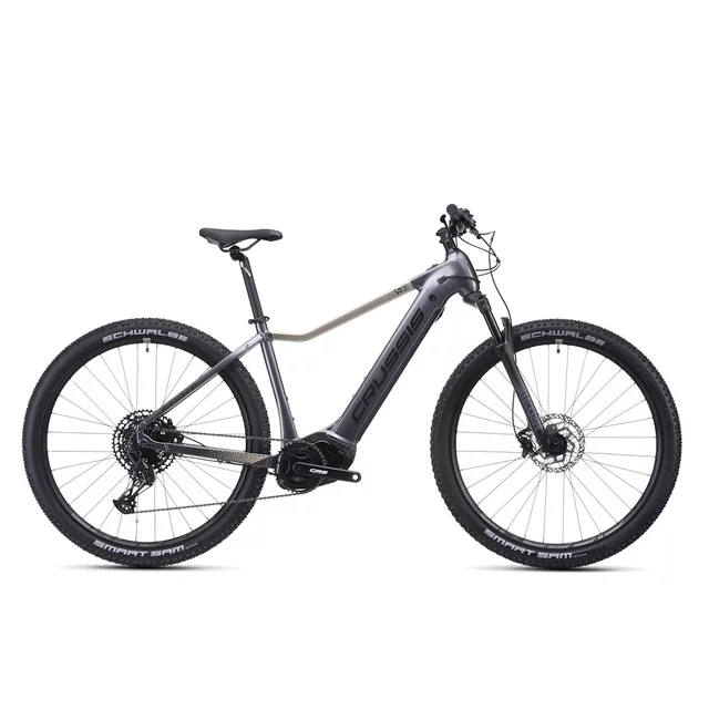 Mountain E-Bike Crussis e-Fionna 9.11 894Wh 29” – 2026