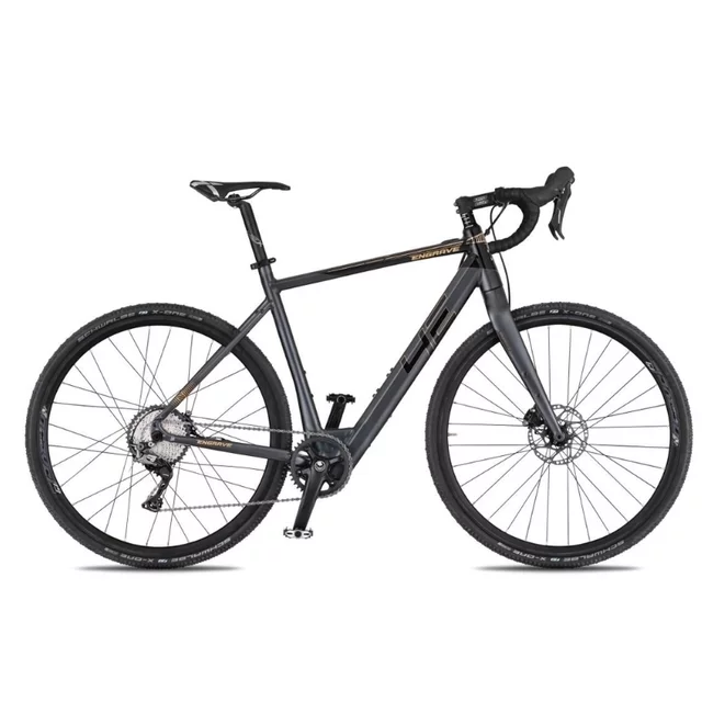 Gravel E-Bike 4EVER ENGRAVE PRO 28” - titan/hologram - titan/metal gold