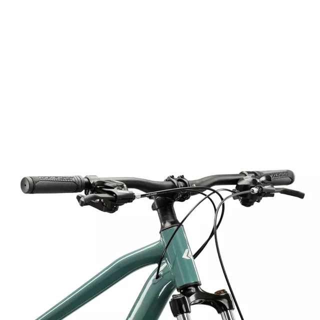 Mountain Bike Kross Hexagon 2.0 29” Gen 008 - zelená / stříbrná / lesk
