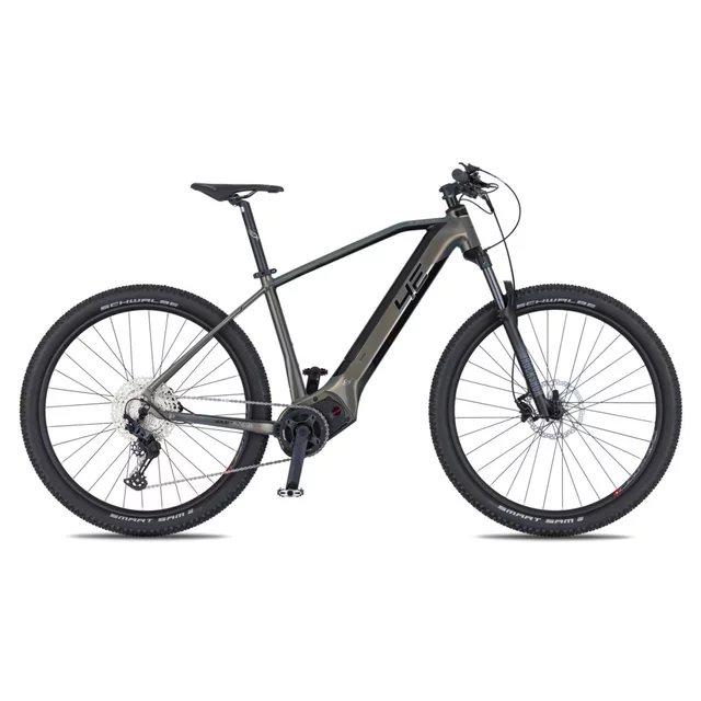 Mountain E-Bike 4EVER Exstream PRO 820Wh 29” – 2025 - grey diamond/silver - grey diamond/silver