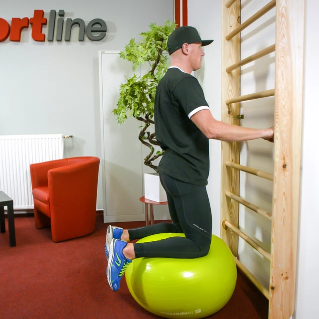 Wall Bars inSPORTline Steadyline 220 x 90 cm