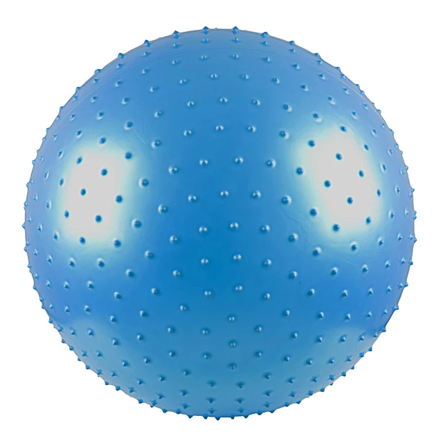55cm Gymnastic and Massage Ball - Blue
