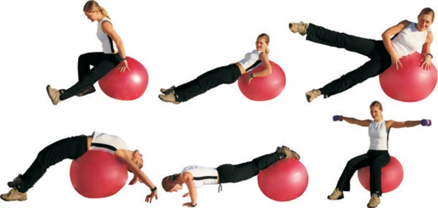 55cm Gymnastic Ball