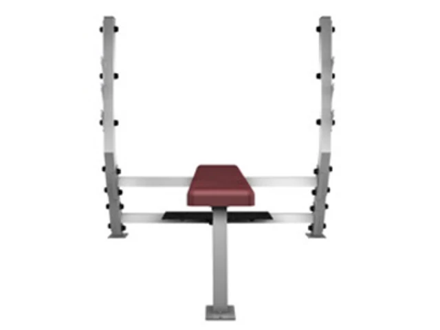 Flat Olympic Bench Body-Solid SFB-349G