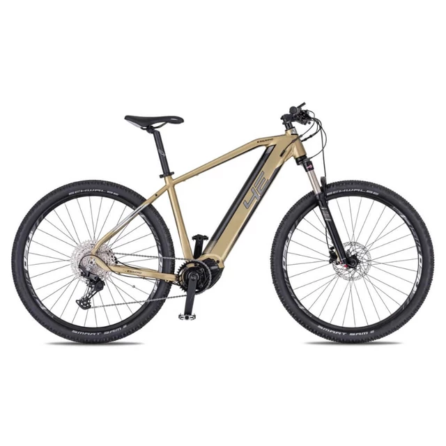 Mountain E-Bike 4EVER Esword Team M510 29” - chameleon/hologram - Sand/Metal Silver