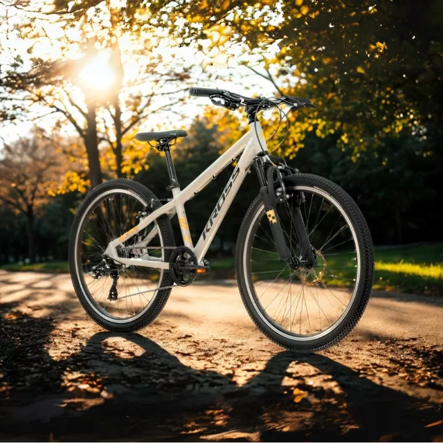 Junior Bike Kross Dust JR 1.0 24” Gen 006 - šedá/černá/lesk