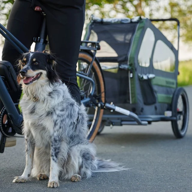 Dog Bicycle Trailer TaXXi L Dark Gray/Dark Green