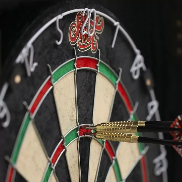 Dartboard Shot Renegade