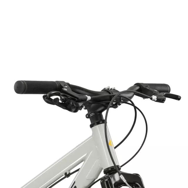 Junior Bike Kross Dust JR 1.0 24” Gen 006 - šedá/černá/lesk