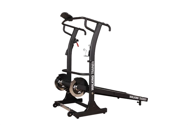 Walking Trainer