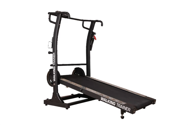 Walking Trainer