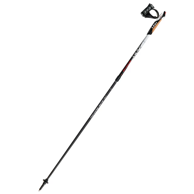Leki Instructor Nordic Walking poles