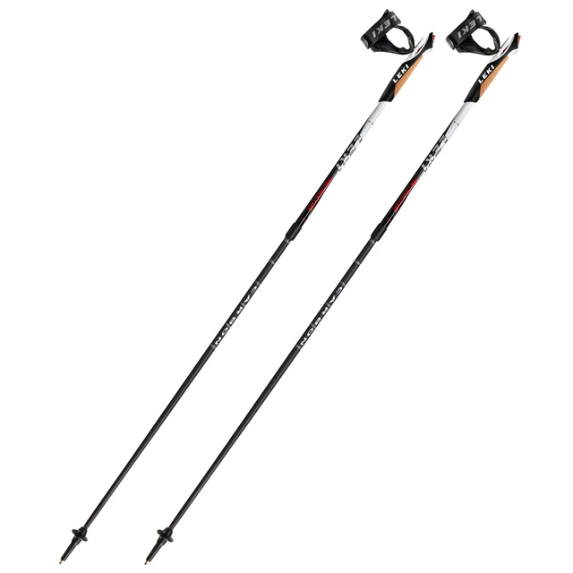Leki Instructor Nordic Walking poles