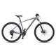 Mountain Bike 4EVER FRONTBEE 29” – 2025 - pearl black/green - foggy/silver